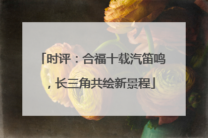 时评：合福十载汽笛鸣，长三角共绘新景程