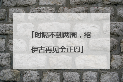 时隔不到两周，绍伊古再见金正恩
