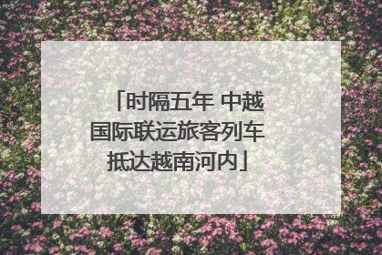 时隔五年 中越国际联运旅客列车抵达越南河内
