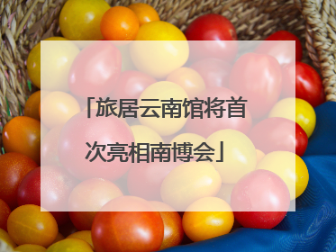 旅居云南馆将首次亮相南博会