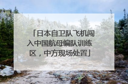 日本自卫队飞机闯入中国航母编队训练区，中方现场处置