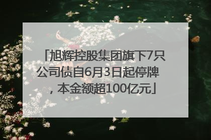 旭辉控股集团旗下7只公司债自6月3日起停牌，本金额超100亿元