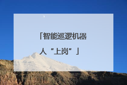 智能巡逻机器人“上岗”