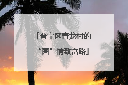 晋宁区青龙村的“菌”情致富路