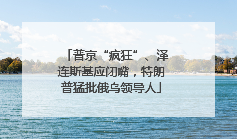 普京“疯狂”、泽连斯基应闭嘴，特朗普猛批俄乌领导人