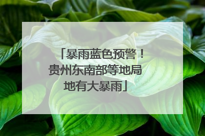 暴雨蓝色预警！贵州东南部等地局地有大暴雨