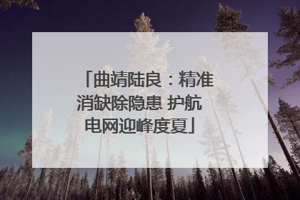 曲靖陆良：精准消缺除隐患 护航电网迎峰度夏