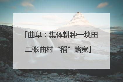 曲阜：集体耕种一块田 二张曲村“稻”路宽