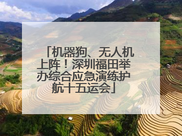 机器狗、无人机上阵！深圳福田举办综合应急演练护航十五运会