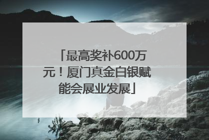 最高奖补600万元！厦门真金白银赋能会展业发展