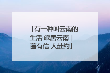 有一种叫云南的生活·旅居云南｜菌有信 人赴约
