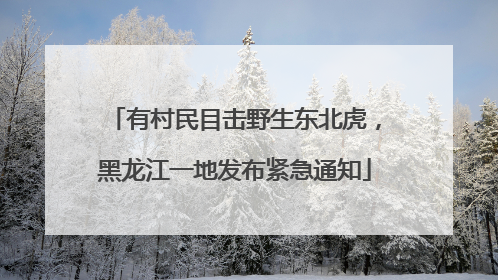 有村民目击野生东北虎，黑龙江一地发布紧急通知
