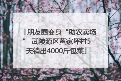 朋友圈变身“助农卖场” 武陵源区黄家坪村5天销出4000斤包菜