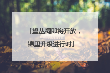 望丛祠即将开放，锦里升级进行时