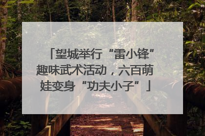 望城举行“雷小锋”趣味武术活动，六百萌娃变身“功夫小子”