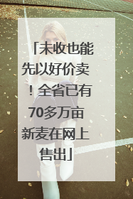 未收也能先以好价卖！全省已有70多万亩新麦在网上售出