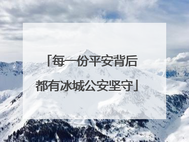 每一份平安背后 都有冰城公安坚守