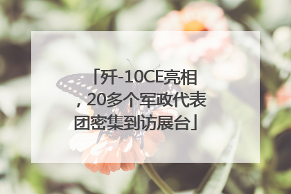 歼-10CE亮相，20多个军政代表团密集到访展台