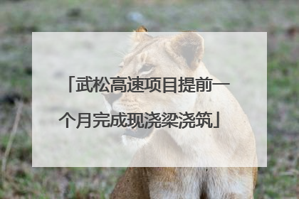 武松高速项目提前一个月完成现浇梁浇筑