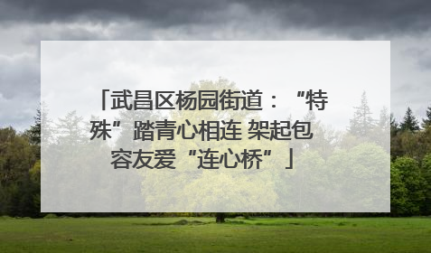 武昌区杨园街道：“特殊”踏青心相连 架起包容友爱“连心桥”