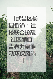 武昌区杨园街道：社校联合扮靓社区颜值 青春力量推动环保风尚