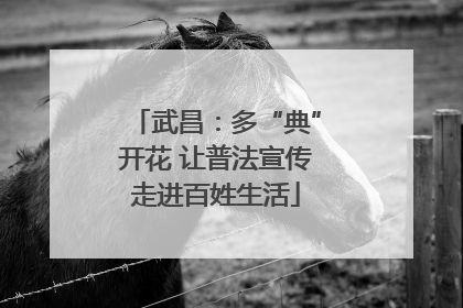 武昌：多“典”开花 让普法宣传走进百姓生活