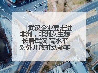武汉企业要走进非洲，非洲女生想长居武汉 高水平对外开放推动鄂非双向奔赴