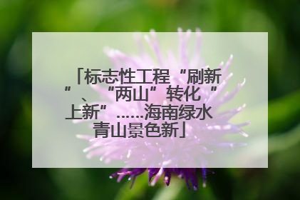 标志性工程“刷新”、“两山”转化“上新”……海南绿水青山景色新