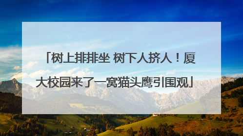 树上排排坐 树下人挤人！厦大校园来了一窝猫头鹰引围观