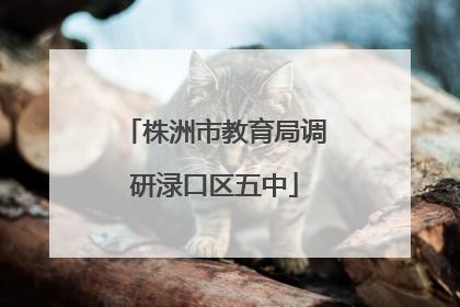 株洲市教育局调研渌口区五中