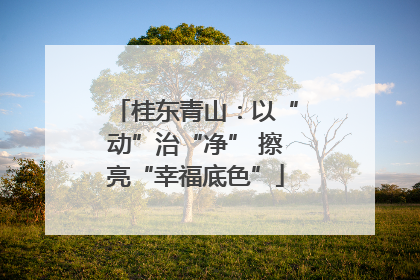 桂东青山：以“动”治“净” 擦亮“幸福底色”