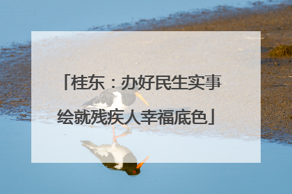桂东：办好民生实事 绘就残疾人幸福底色