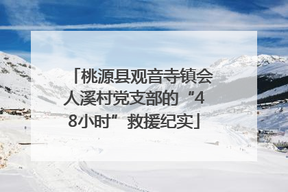 桃源县观音寺镇会人溪村党支部的“48小时”救援纪实