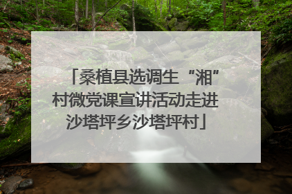 桑植县选调生“湘”村微党课宣讲活动走进沙塔坪乡沙塔坪村