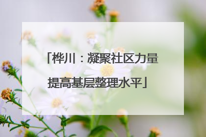 桦川：凝聚社区力量 提高基层整理水平