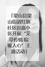 梁山县梁山街道红旗社区良嘉小区开展“艾草传情·粽暖人心”主题活动