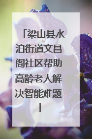 梁山县水泊街道文昌阁社区帮助高龄老人解决智能难题