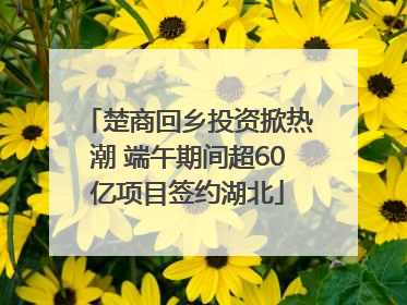 楚商回乡投资掀热潮 端午期间超60亿项目签约湖北