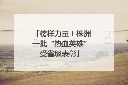 榜样力量！株洲一批“热血英雄”受省级表彰