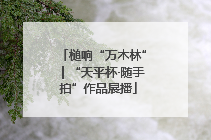 槌响“万木林”｜“天平杯·随手拍”作品展播