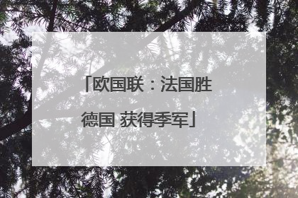 欧国联：法国胜德国 获得季军