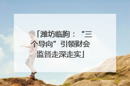 潍坊临朐：“三个导向”引领财会监督走深走实