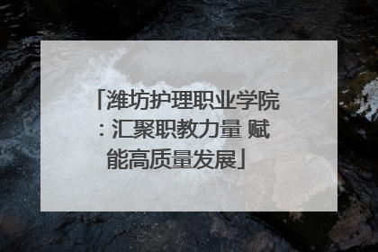 潍坊护理职业学院：汇聚职教力量 赋能高质量发展