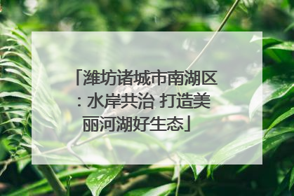 潍坊诸城市南湖区：水岸共治 打造美丽河湖好生态