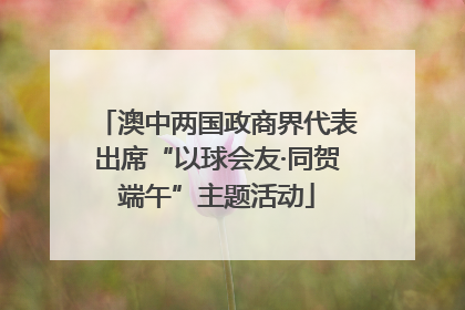 澳中两国政商界代表出席“以球会友·同贺端午”主题活动