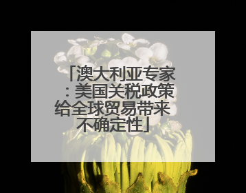 澳大利亚专家：美国关税政策给全球贸易带来不确定性
