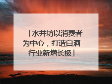水井坊以消费者为中心，打造白酒行业新增长极