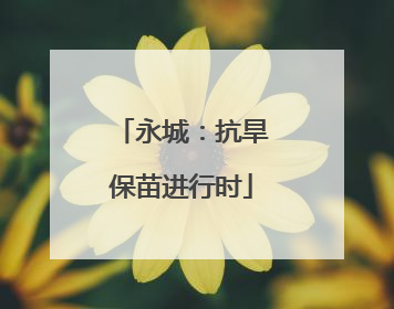 永城：抗旱保苗进行时
