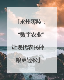 永州零陵：“数字农业”让现代农民种粮更轻松