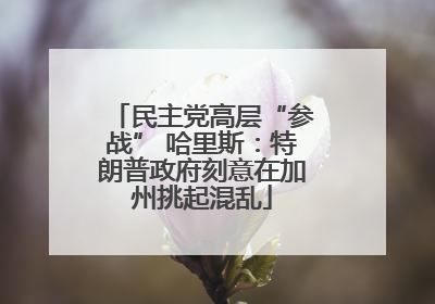 民主党高层“参战” 哈里斯：特朗普政府刻意在加州挑起混乱